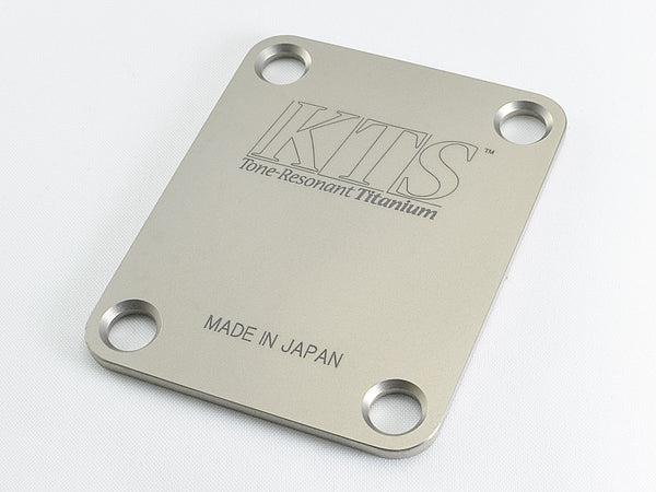 Titanium Neck Joint Plate